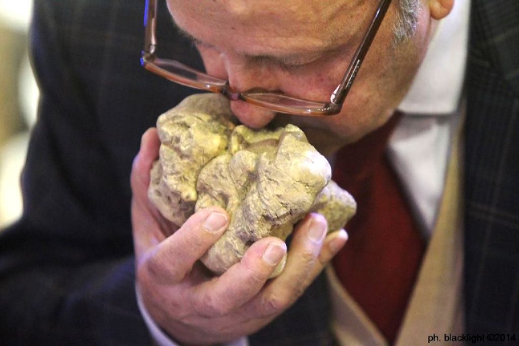 Un giudice annusa un tartufo bianco