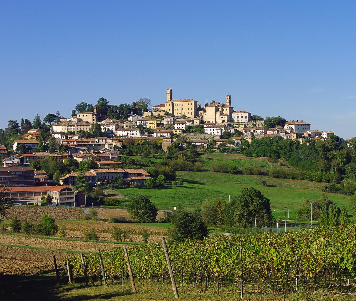 Il borgo di Murisengo sulla collina, sopra i vigneti