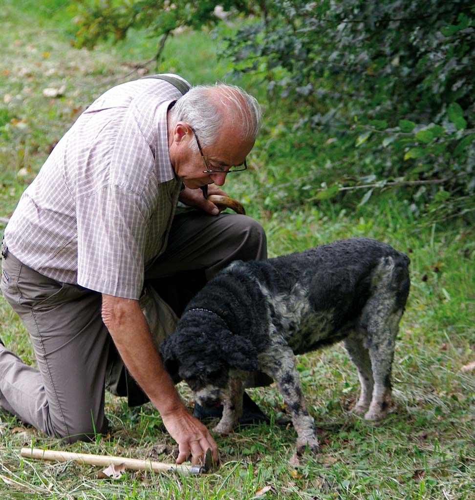 Un trifolau con il suo cane da tartufo nel bosco
