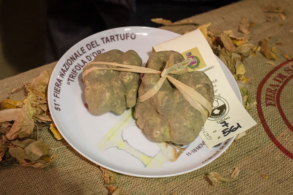 Tartufi bianchi sul piatto della 51ª Fiera Nazionale