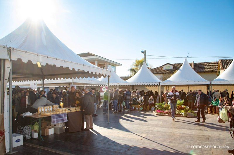 Gazebo bianchi della fiera in una giornata di sole